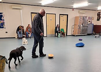 K9 Capers Dog Training Club