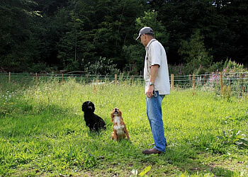 K9 Care Dog Training