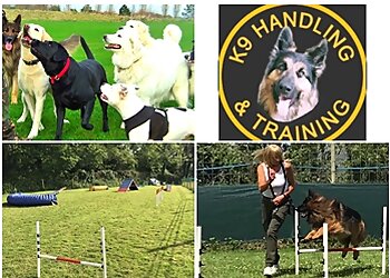 K9 Handling & Training
