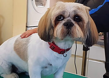 K9 Heaven Dog Grooming