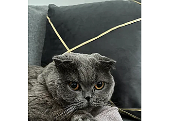 K9 Krew & Friends Pet Services K9 Krew & Friends Pet Services