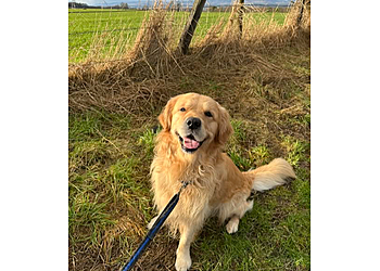 K9 Nanny Perth K9 Nanny Perth