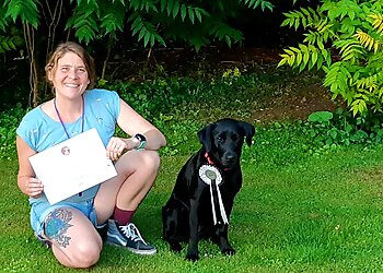 Oxford dog trainers K9 Training Academy image 1