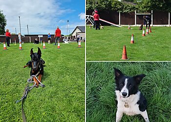 K9 of LC Training Academy