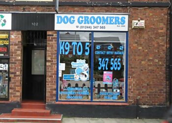 Chester pet grooming K9 to 5 image 1