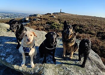 Cornwall dog walkers KBT Dog Services image 1