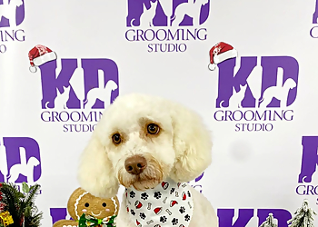 KD Grooming Studio LTD