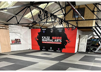 Kaiju Martial Arts