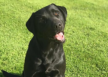 Karenswood (International) Ltd.