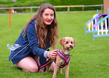 New Forest dog trainers Karuna Canine Behaviour - Reactivity & High Energy Dog Specialist image 1