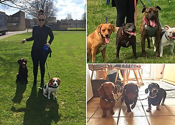 Katie & Friends Pet Services