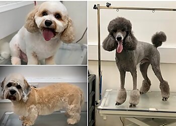 Katori Grooming Salon Ltd