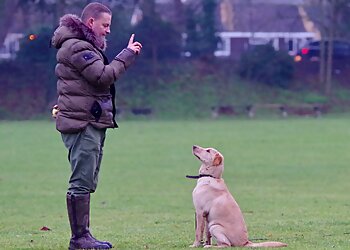 Kent Dog Training