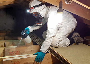 Kestrel Pest Management