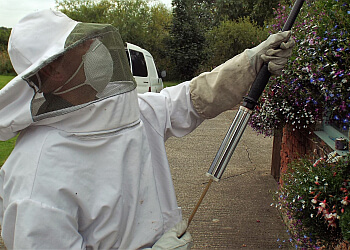 Kestrel Pest Management