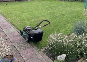 Kevins Sunny Gardens