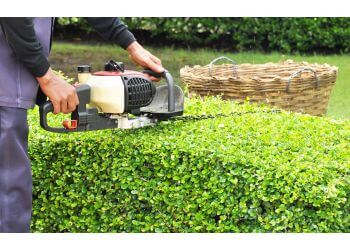 Kevins Sunny Gardens