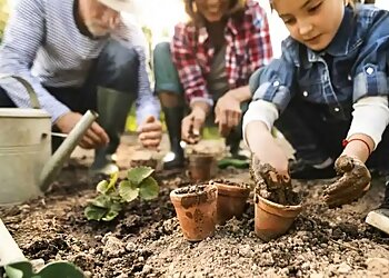 Kids Planet Brynford