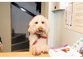 Kilbarchan Veterinary Practice