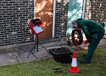 Kill Line Pest Control