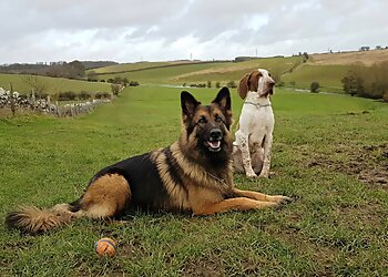 Kim Potter Dog Training