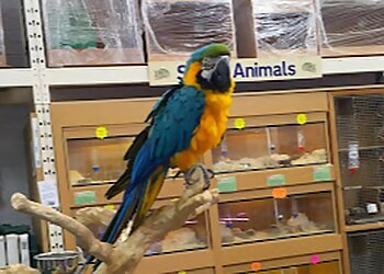 Kings Heath Pet Centre