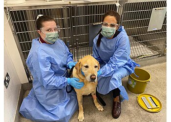 Kingston Veterinary Group