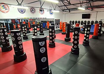 Kirkwood's Martial Arts Academy (KMAA)