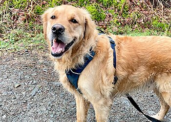 Kirsty’s Pet Clinic