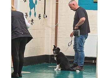 Mel's Klever K9s Ltd