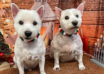 Kool Kutz Grooming Parlour