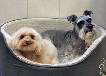 Kool Kutz Grooming Parlour