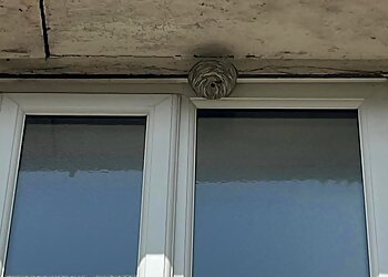 Kwickill Pest Control Ltd