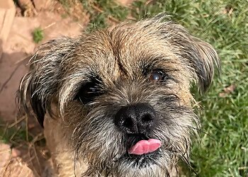 Larkholme Pet Holidays