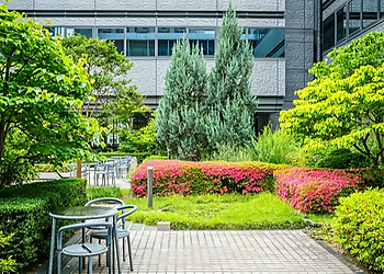 L. E. Bespoke Garden Services Ltd.