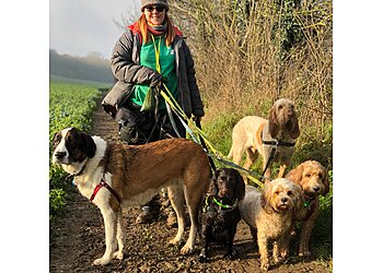 Luton dog walkers LIVforPETS image 1