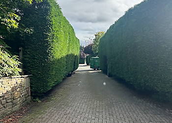 LS Hedges & Tree Services
