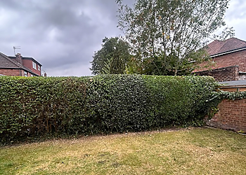 LS Hedges & Tree Services