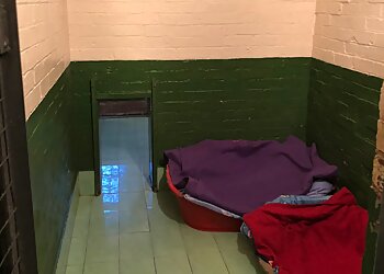 Ladyshore Grange Boarding Kennels & Cattery