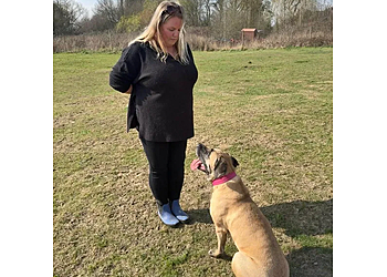 Dartford dog trainers Lamorbey Dog Training image 1