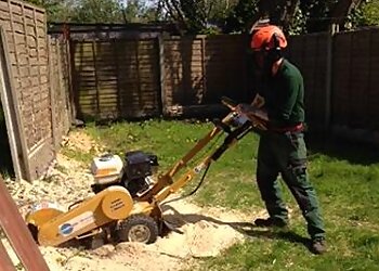 Lancashire Tree Care