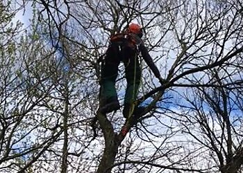Lancashire Tree Care