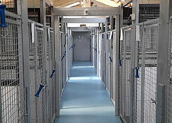 Landorn Kennels & Cattery Ltd