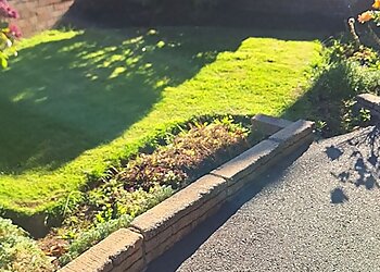 Larmour Lawns and Landscaping