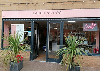 Laughing Dog