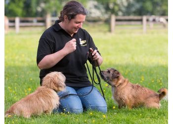 Laura Wyllie Dog Training