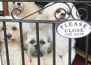 Laura's Little Lodgers