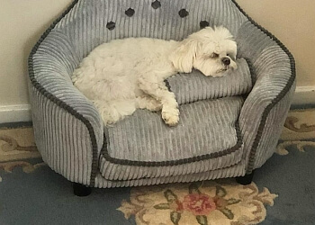 Laura's Little Lodgers