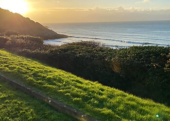 Laurel Bay Garden Services