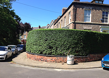 Laurence The Gardener